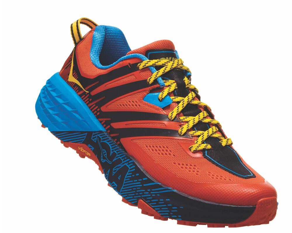 case puma 2010