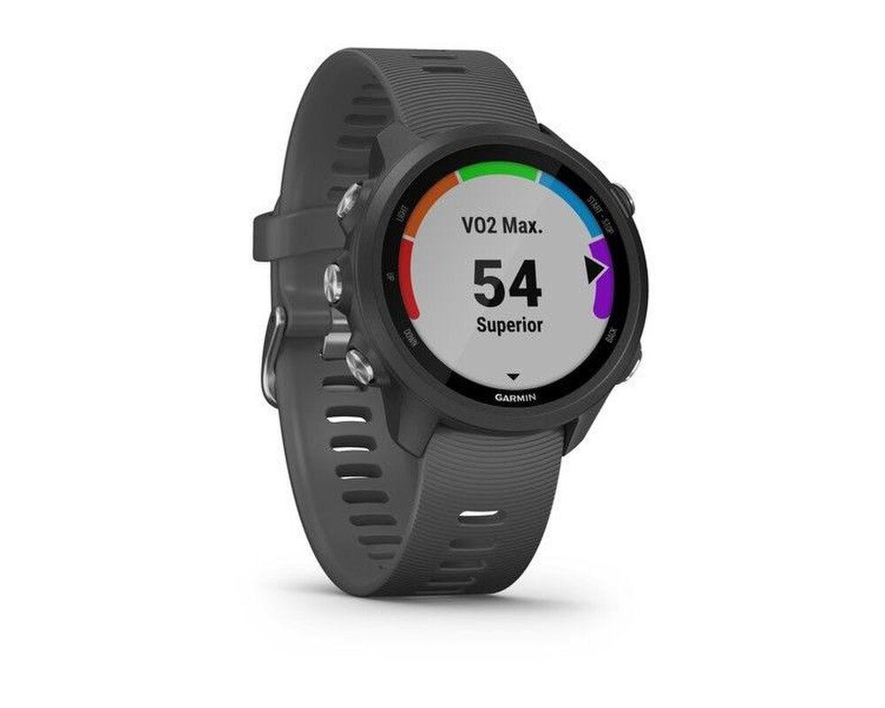 garmin 245 slate
