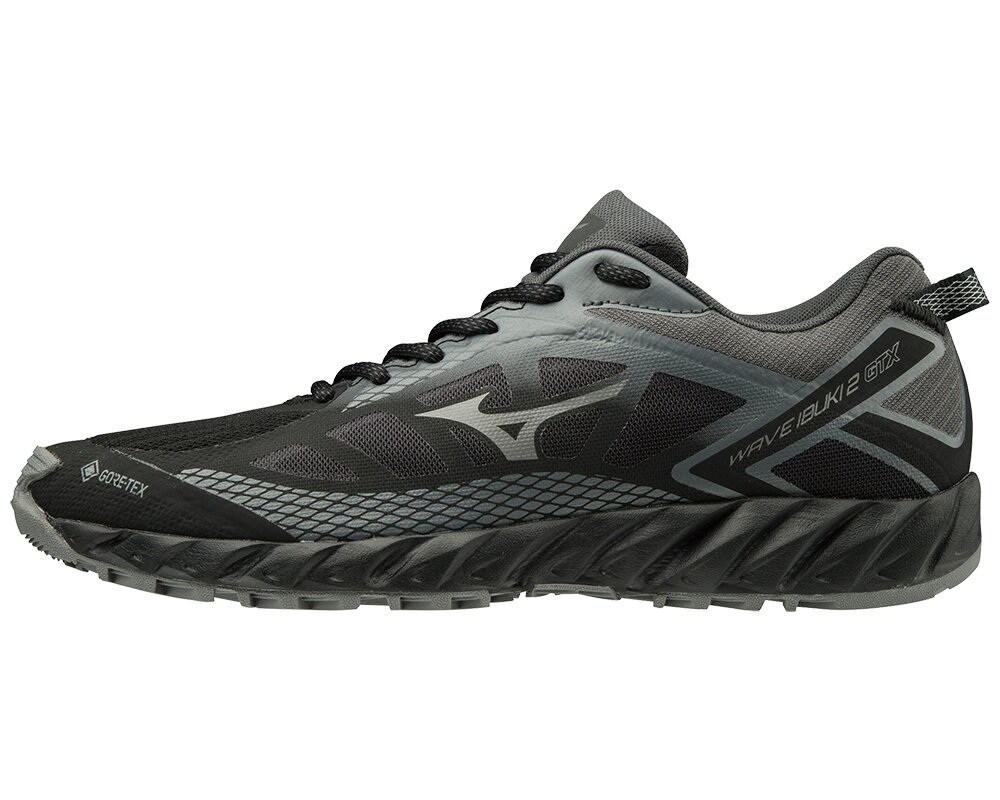 mizuno wave ibuki 2 gtx